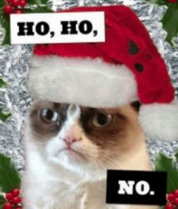 sad grumpy santa cat